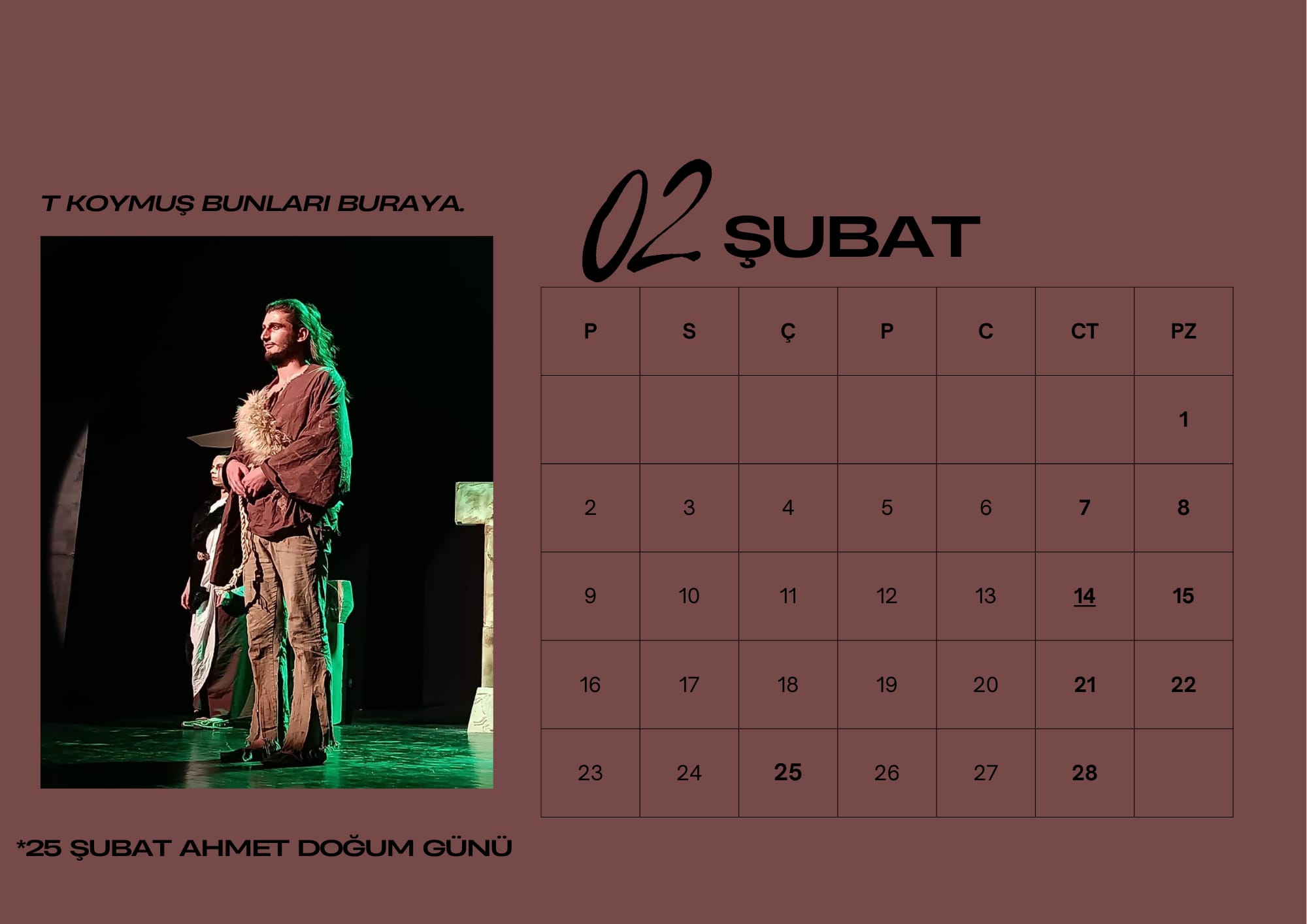 Şubat 2026